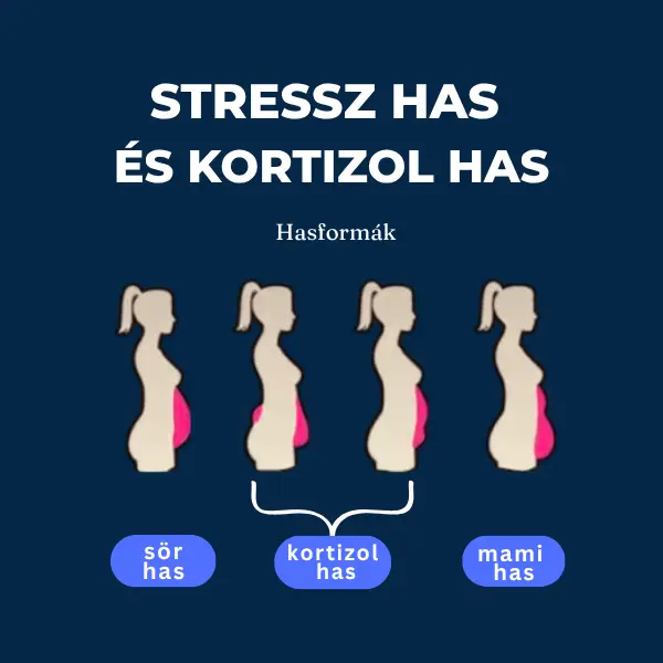 Kortizol has és stressz has formák perimenopauzában 40 feletti nőknek
