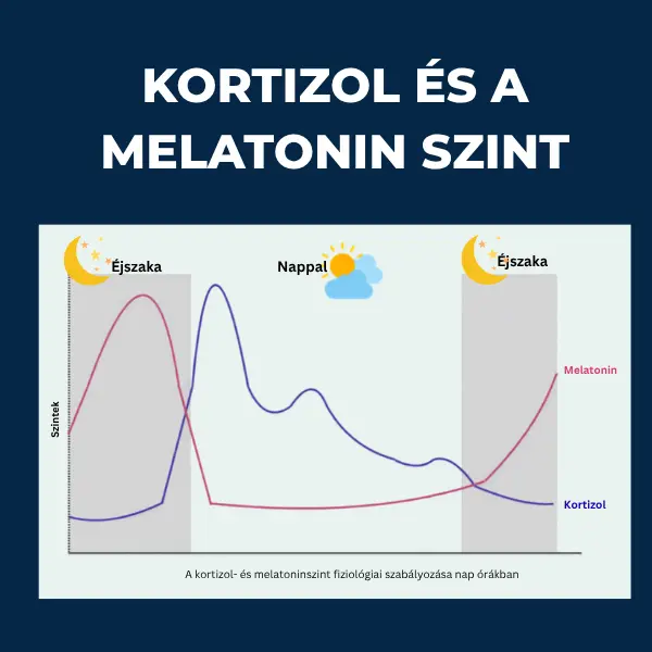 Kortizol és melatonin szint fiziológiai szabályozása és cirkadián ritmusa a nap óráiban nőknek