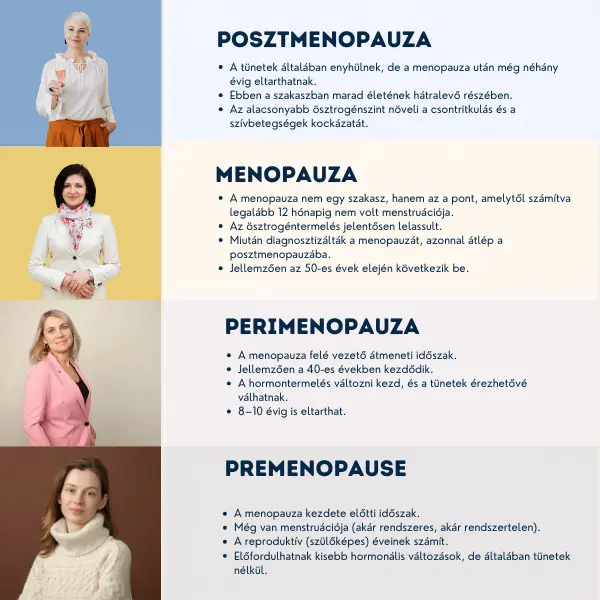 Infografika, amely a női hormonális átmenet négy fő szakaszát mutatja be: premenopauza, perimenopauza, menopauza és posztmenopauza jellemzőit.