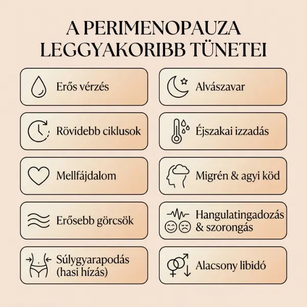 Infografika a perimenopauza leggyakoribb tüneteiről, mint az alvászavar, erős vérzés, hőhullámok és hangulatingadozás.