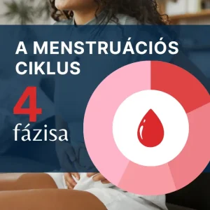 A menstruációs ciklus 4 fázisa