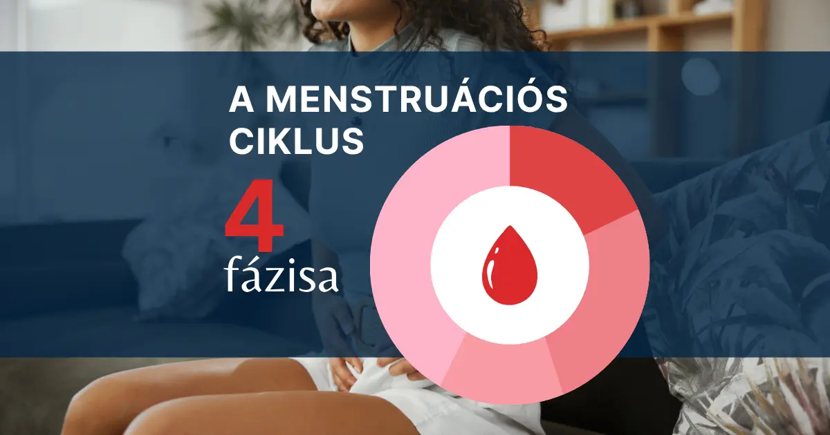 A menstruációs ciklus 4 fázisa