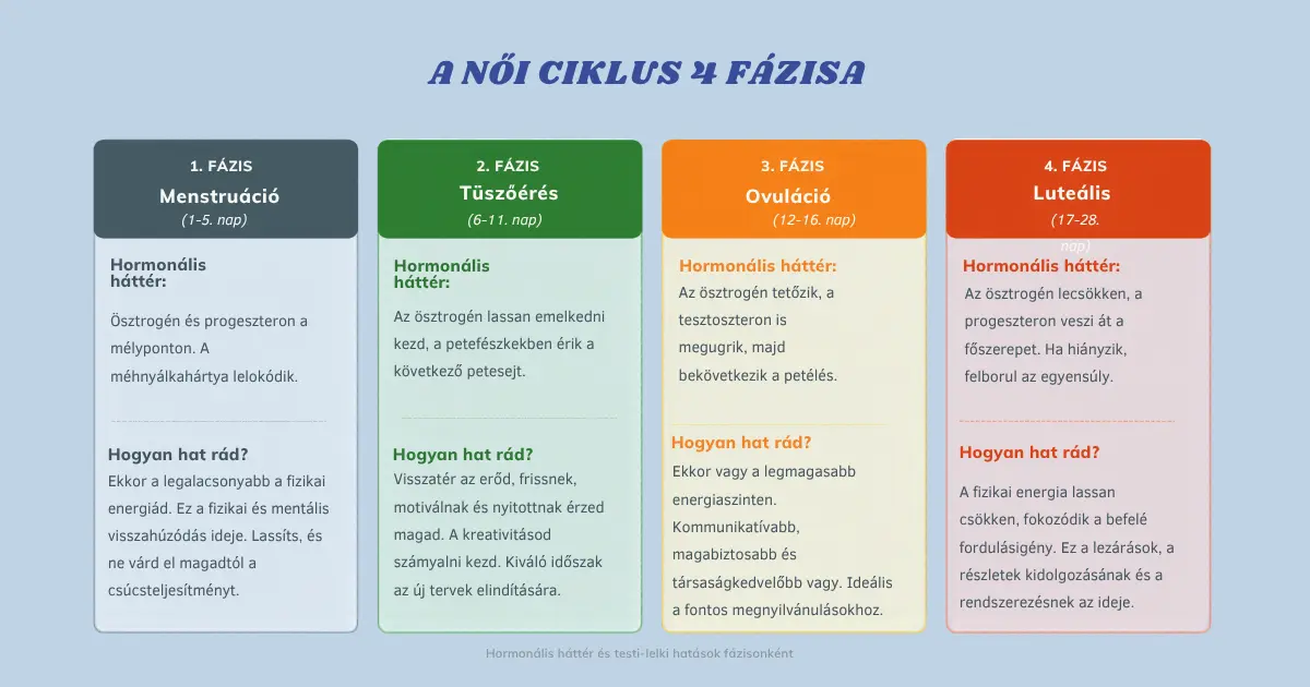 Infografika a női ciklus 4 fázisáról (menstruáció, tüszőérés, ovuláció, luteális fázis) és azok testi-lelki hatásairól.