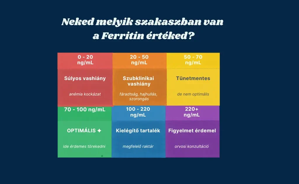 Infografika a ferritin értékek tartományairól: a súlyos vashiánytól a szubklinikai állapoton át az optimális 70–100 ng/mL zónáig.